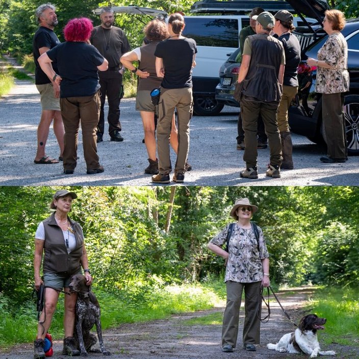 Gruppe redet auf Parkplatz neben Autos. Zwei Frauen mit Hunden spazieren auf Waldweg. Umgeben von Bäumen und Sonnenschein.