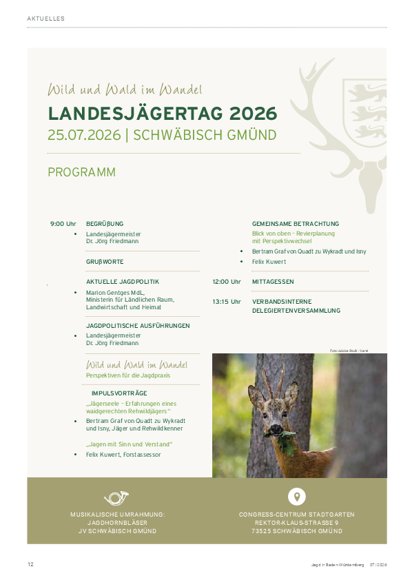 pdf-preview