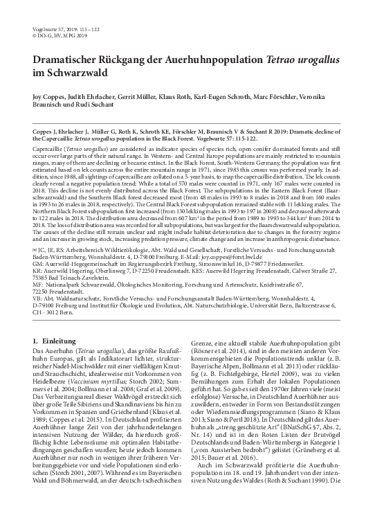 pdf-preview