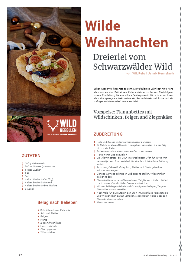 pdf-preview
