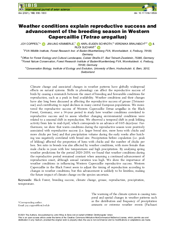 pdf-preview