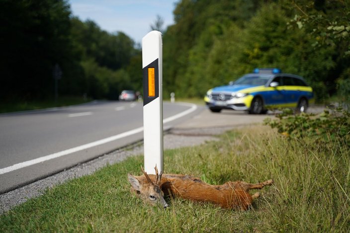 Foto: Christoph Oesterreich