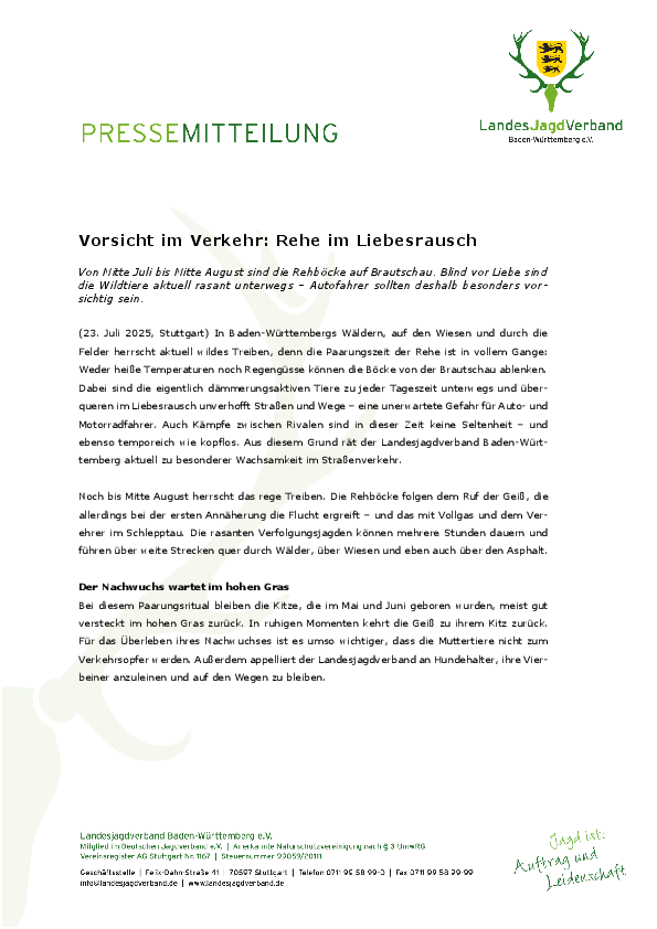 pdf-preview