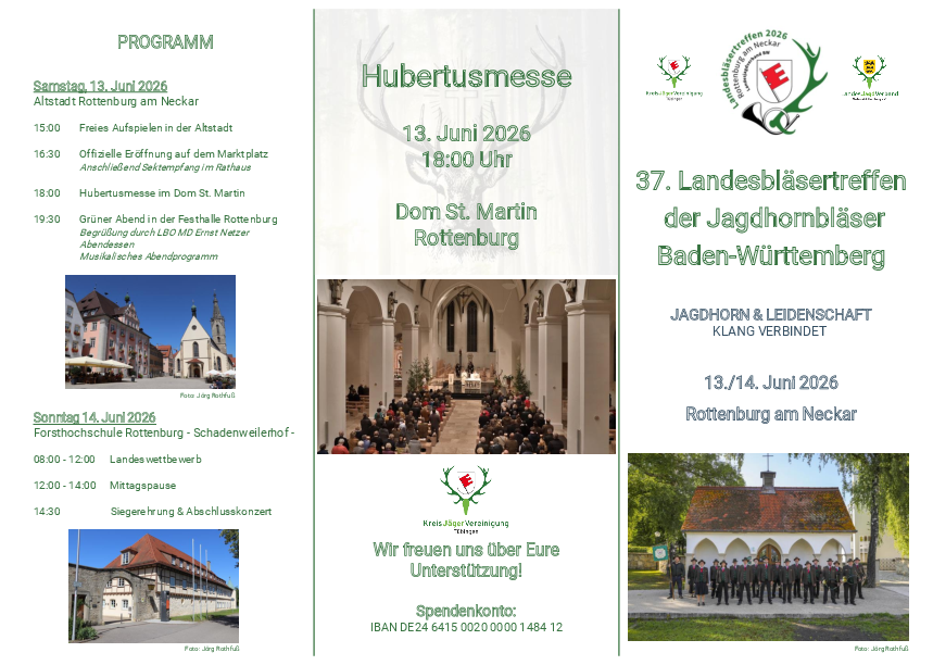 pdf-preview