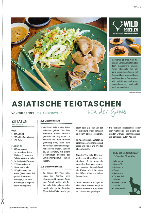pdf-preview