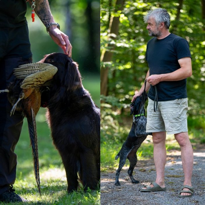 Hund hält Vogel im Maul, wird von Person gestreichelt, befindet sich im Grünen. Daneben steht eine andere Person mit Hund an der Leine, im Wald stehend.