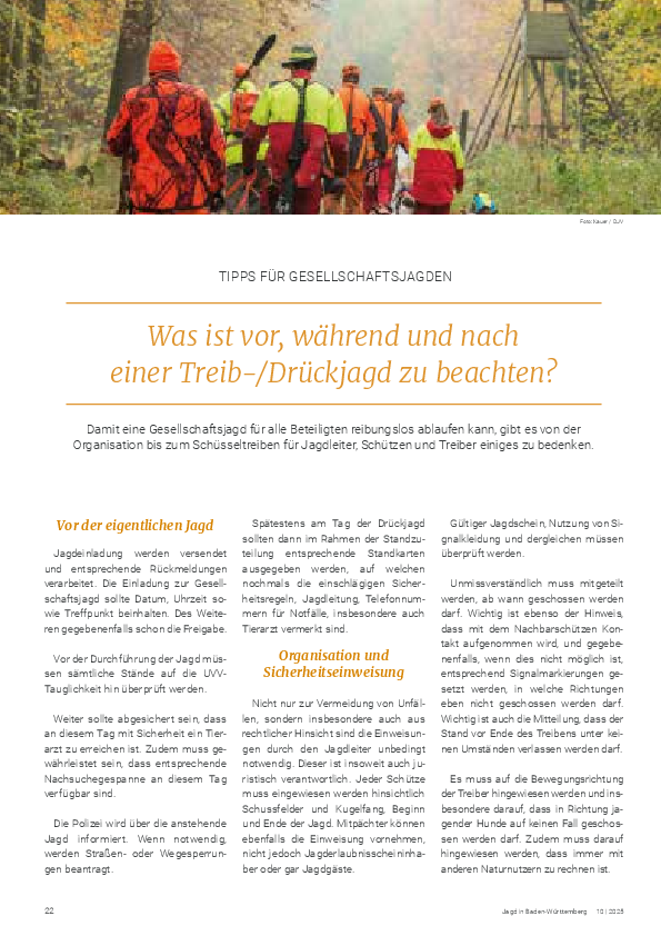 pdf-preview