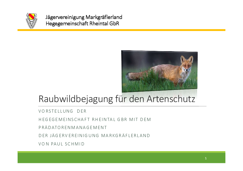pdf-preview