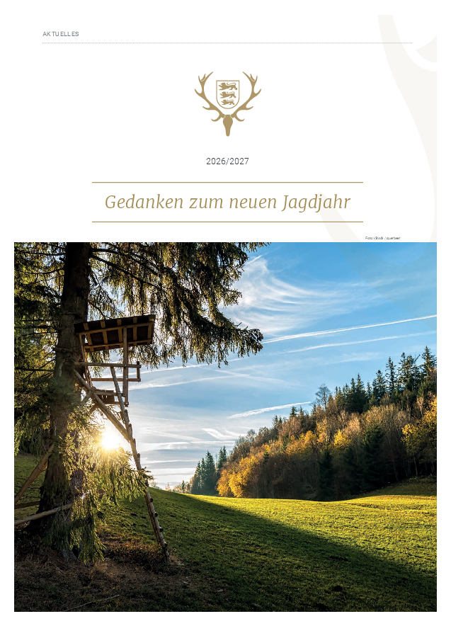 pdf-preview