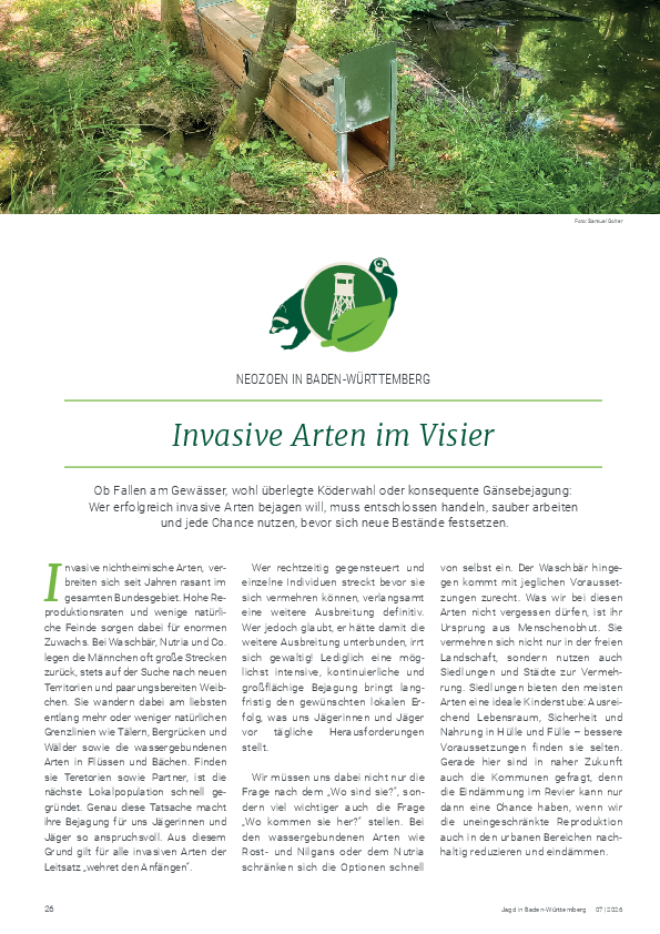 pdf-preview