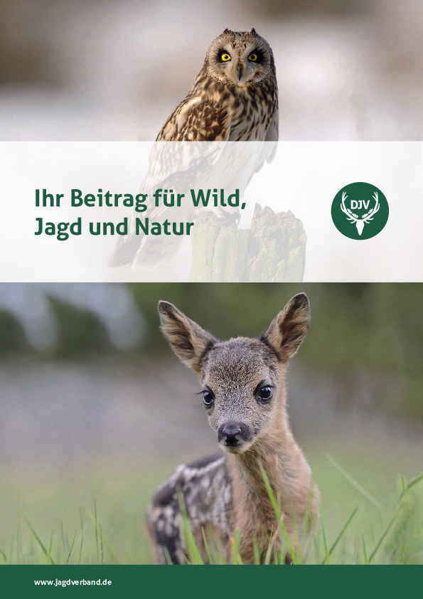pdf-preview