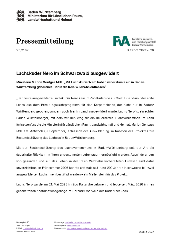 pdf-preview