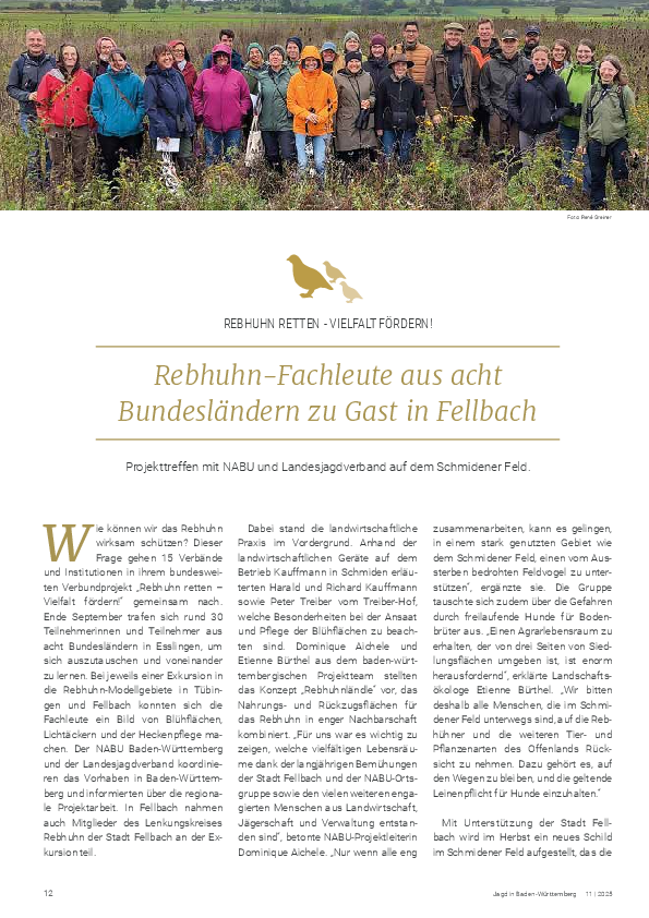 pdf-preview