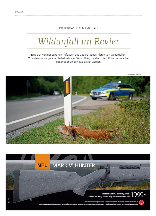 pdf-preview