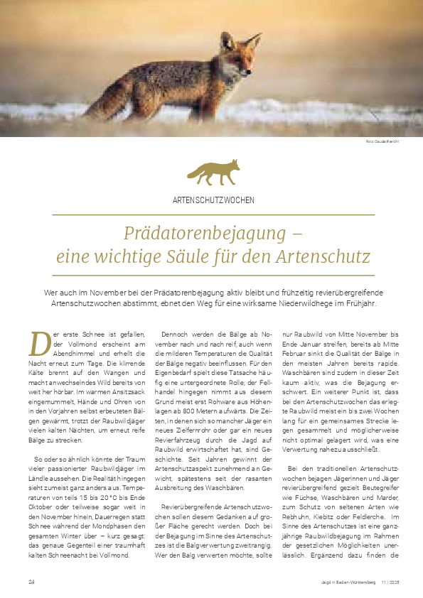 pdf-preview