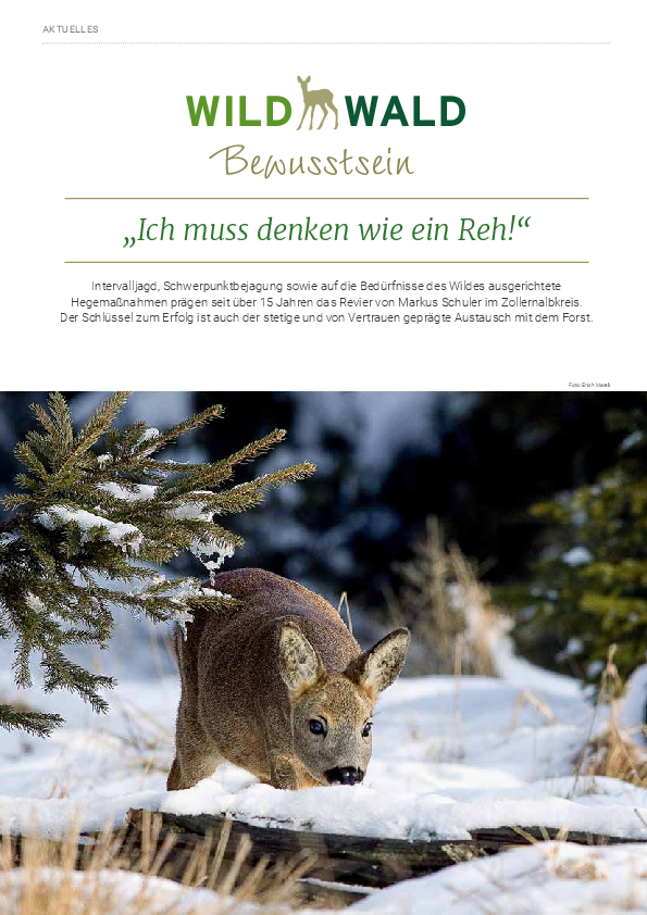 pdf-preview