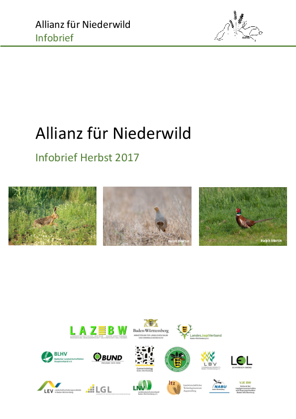 Infobrief Herbst 2017 pdf-preview